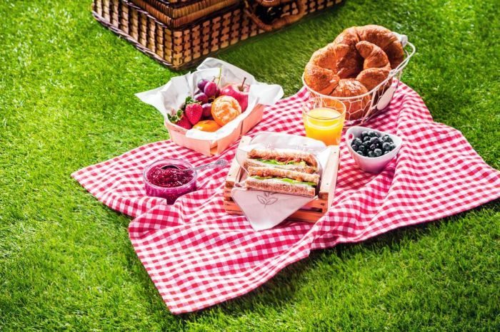 bekal piknik